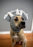 Triceratops Dog Snood Cowl Crochet Pattern