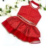 Red and Gold Pet Lehenga Choli Costume