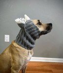 Triceratops Dog Snood Cowl Crochet Pattern