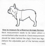 Watermelon Ruffled Tulle Dress for Dogs