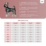 Trendy Denim Vest Tutorial for Dogs - L Size