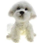 Tiny Dog Wedding Dress with Lace and Bow