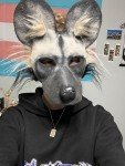 African Wild Dog Mask – Great for Dog Lovers!