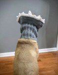 Triceratops Dog Snood Cowl Crochet Pattern