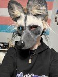 African Wild Dog Mask – Great for Dog Lovers!