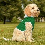 St. Patrick's Day Shamrock Dog Hoodie Outfit