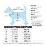 Tiny Dog Wedding Dress with Lace and Bow