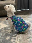 Reversible Dog Dress Sewing Pattern - PDF & Tutorial