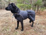 Reversible Dog Dress Sewing Pattern - PDF & Tutorial