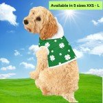 St. Patrick's Day Shamrock Dog Hoodie Outfit
