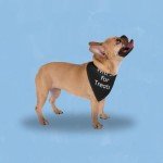 “Will Sit for Treats Dog Bandana”