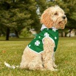 St. Patrick's Day Shamrock Dog Hoodie Outfit