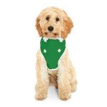 St. Patrick's Day Shamrock Dog Hoodie Outfit
