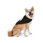 Cute Halloween Dog Bandana - Goth Pet Accessory