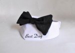Custom Dog Wedding Outfit with Bow Tie & Bandana