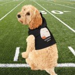 Spooky Soul Pet Hoodie for Halloween Fun