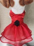 Chic Red Dog Dress for Festive Pet Parties