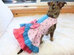 Pink Floral & Blue Polka Dot Dog Dress