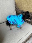 Monsters Inc Sullivan Dog Hoodie Sweater