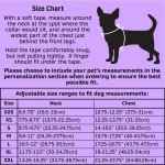 Ivory Floral Shimmer Stripe Dog Dress