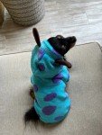 Monsters Inc Sullivan Dog Hoodie Sweater