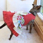 Coral Red Polka Dot Ruffled Dog Dress
