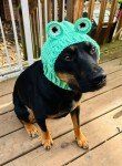 Crochet Frog Snood Hat for Small Dogs
