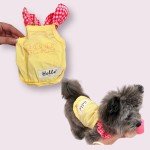 Cute Summer Outfits for Small Dogs