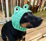 Crochet Frog Snood Hat for Small Dogs