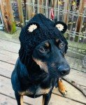 Cozy Crochet Bear Cowl for Small Dogs