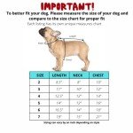 Monsters Inc Sullivan Dog Hoodie Sweater