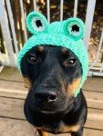 Crochet Frog Snood Hat for Small Dogs