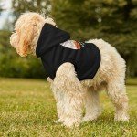 Spooky Soul Pet Hoodie for Halloween Fun
