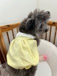 Cute Summer Outfits for Small Dogs