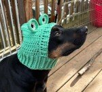 Crochet Frog Snood Hat for Small Dogs