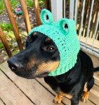 Crochet Frog Snood Hat for Small Dogs
