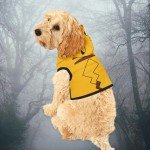 Pikachu Dog Costume Hoodie for Halloween Fun