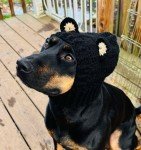 Cozy Crochet Bear Cowl for Small Dogs