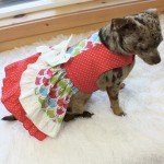 Coral Red Polka Dot Ruffled Dog Dress