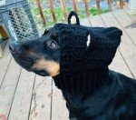 Cozy Crochet Bear Cowl for Small Dogs