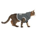 Cozy Game Day Dog Hoodie - Team Spirit Wear