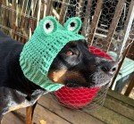 Crochet Frog Snood Hat for Small Dogs