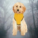 Pikachu Dog Costume Hoodie for Halloween Fun