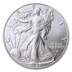 2025 Lot of 5 American Silver Eagle Coins