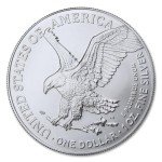 2025 Lot of 5 American Silver Eagle Coins