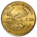 2006-W 1/4 oz Burnished Gold Eagle Coin