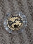 2021 W American Gold Eagle Proof 1/10 oz