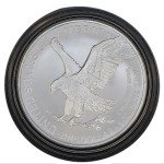 2024 American Silver Eagle - .999 Pure Silver