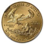 1/2 oz American Gold Eagle Coin MS-70