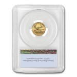 2021 American Gold Eagle 1/10 oz MS-70